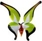 Preview: Orchideenstab - Schmetterling (normale Ausführung / grün-weiß, schwarzer Rand)